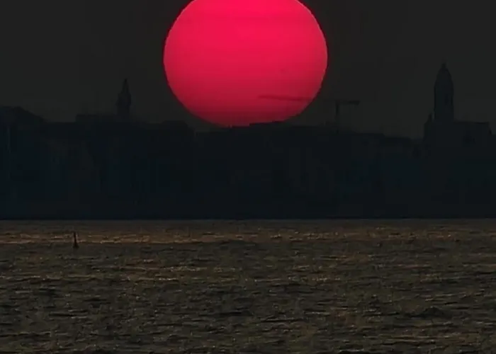 Luxury House 住宿加早餐酒店 巴里